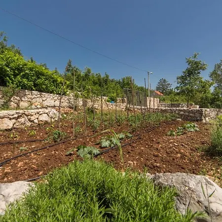 Old Garden * Opanci